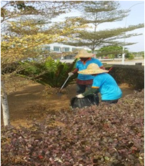 PERBADANAN PENGURUSAN HILLVIEW LOFT BATU PAHAT